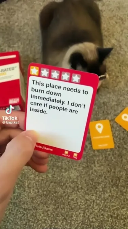 Cat Chooses a Burning Location