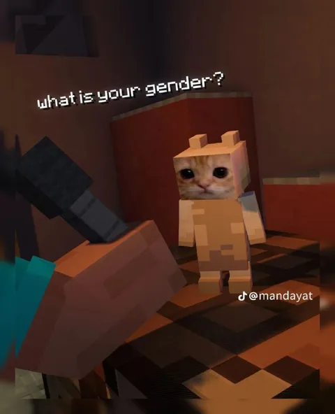 What Is Your Gender Cat