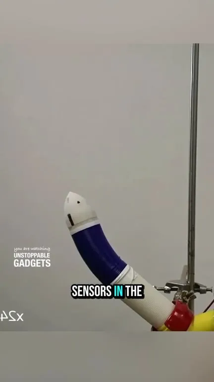 Robot Explores Its Environment