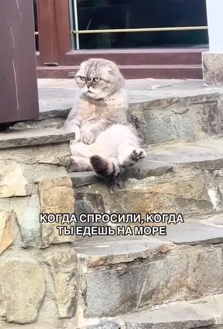 Когда едешь на море