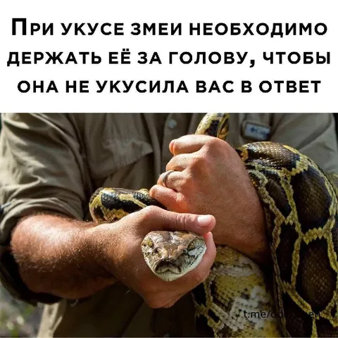 Держать змею за голову