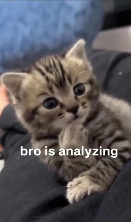 Bro Is Analyzing