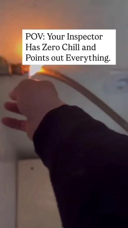 Inspector Finds Every Problem
