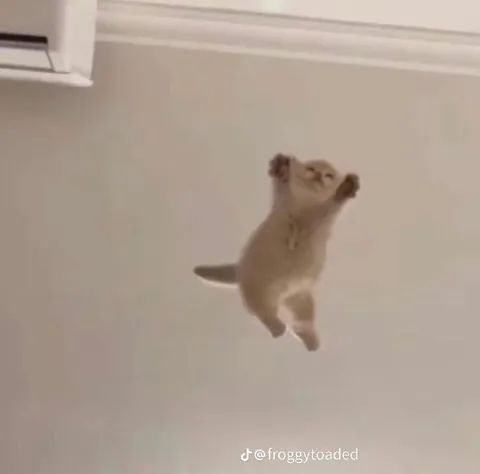 Прыгающий зверёк в воздухе
