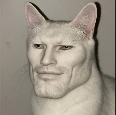 Кот с лицом гигачада
