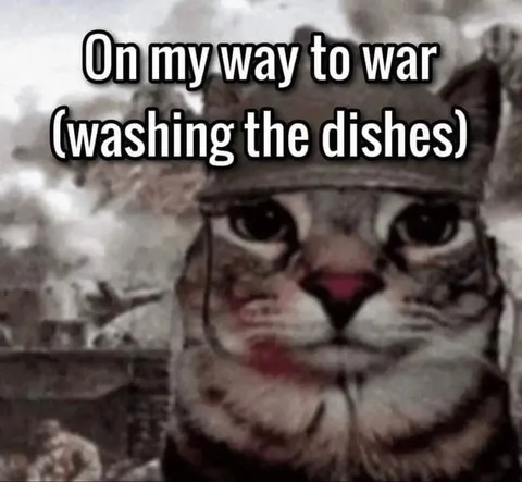 Cat Going to War Washing Dishes