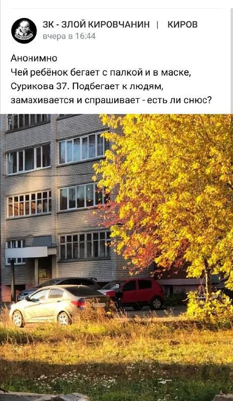 Ребёнок с палкой ищет сюрприз
