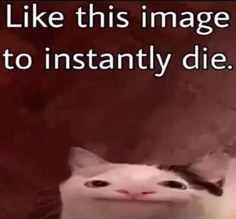 Like This Image to Instantly Die