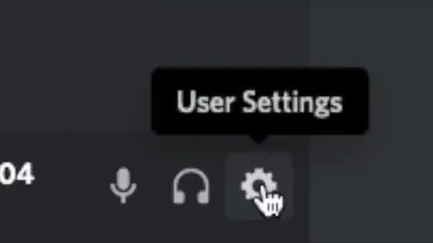 Discord User Settings at Night