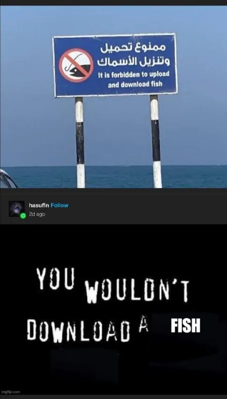 You Wouldn't Download a Fish