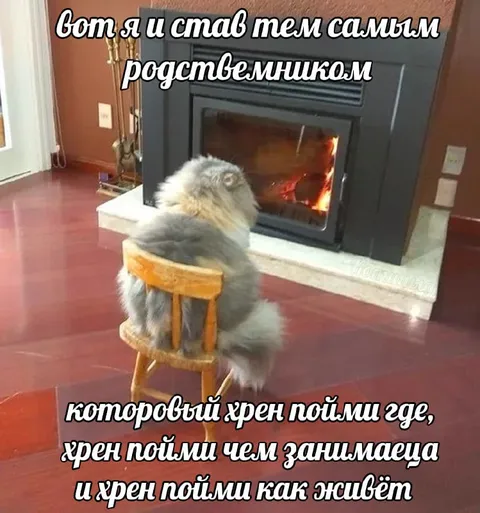 Тот самый непонятный родственник