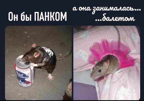Он был панком, она балериной