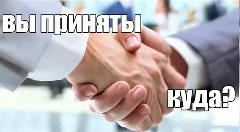 Вы приняты — куда?