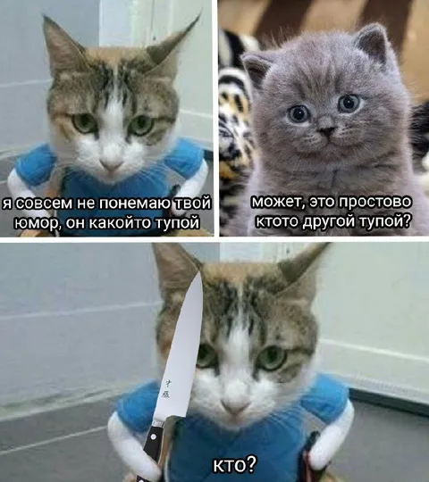 Коты не поняли шутку