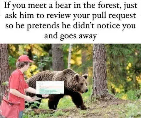 Bear Reviews Your Pull Request