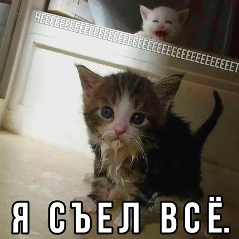 Я съел всё