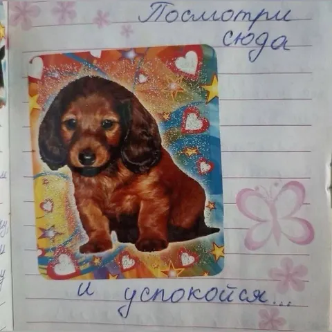 Посмотри сюда и успокойся