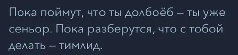 Пока поймут, ты уже тимлид