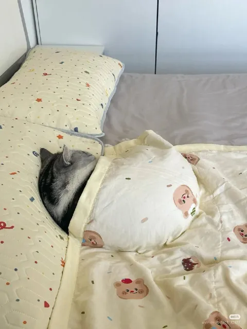 Котик спрятался под одеялом