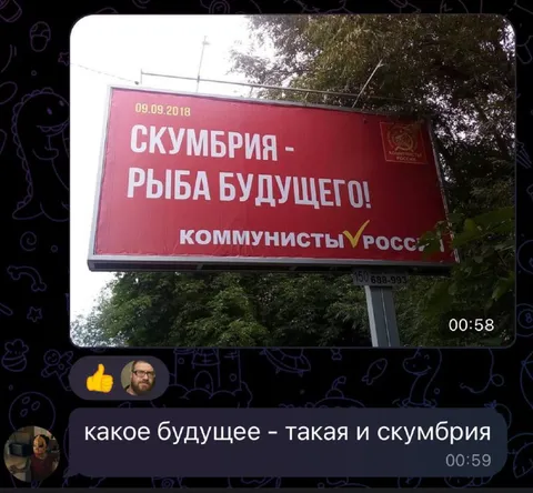 Скумбрия — рыба будущего