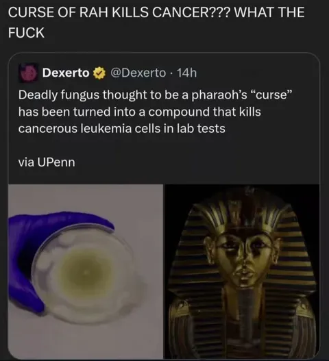 Curse of Rah Kills Cancer