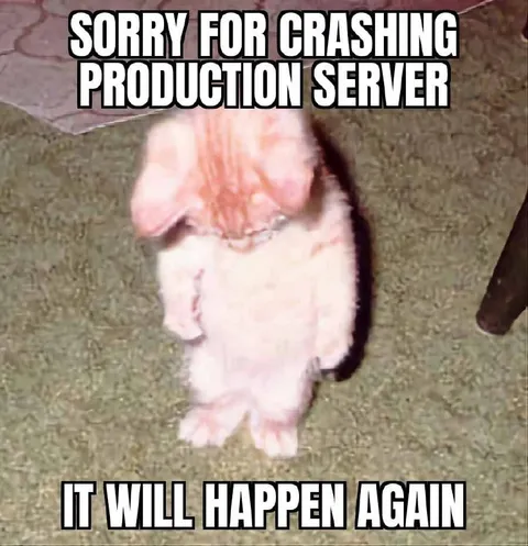 Sorry for Crashing Production Server