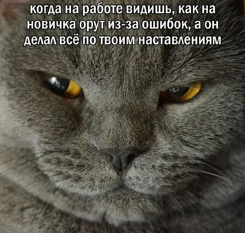 Когда новичок ошибается по твоим инструкциям