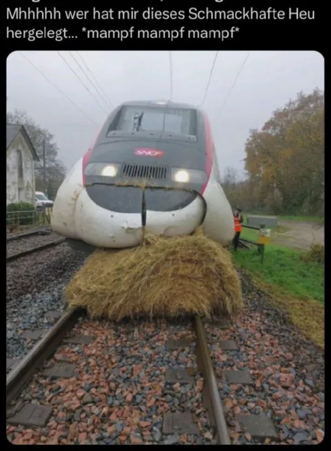 Schmackhaftes Heu für den Zug
