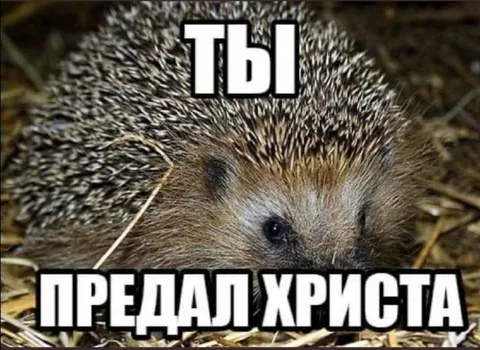 Ёжик предал Христа