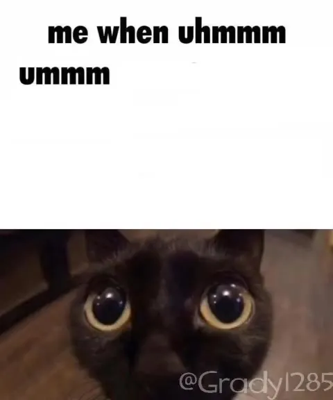 Cat Spreads Unverifiable Facts