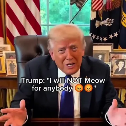 World Leaders Forced to Meow