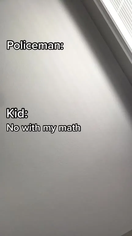Kid Calls 911 for Math Help
