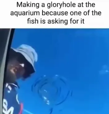 Fish Wants a Gloryhole