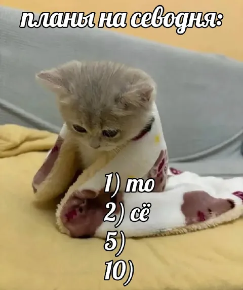 Планы на сегодня: ничего