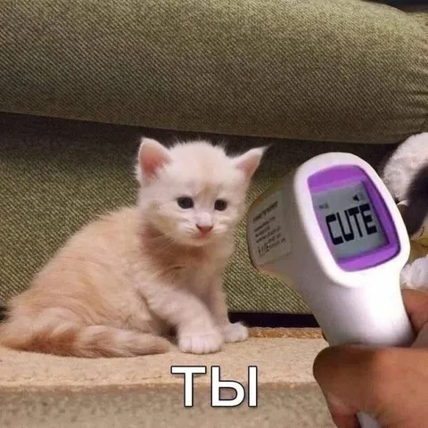 Ты такой милый