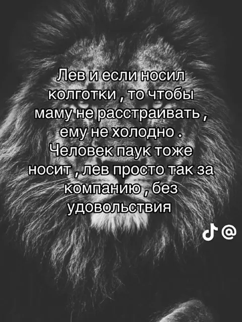 Лев носит колготки без удовольствия