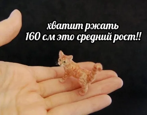 160 см — средний рост