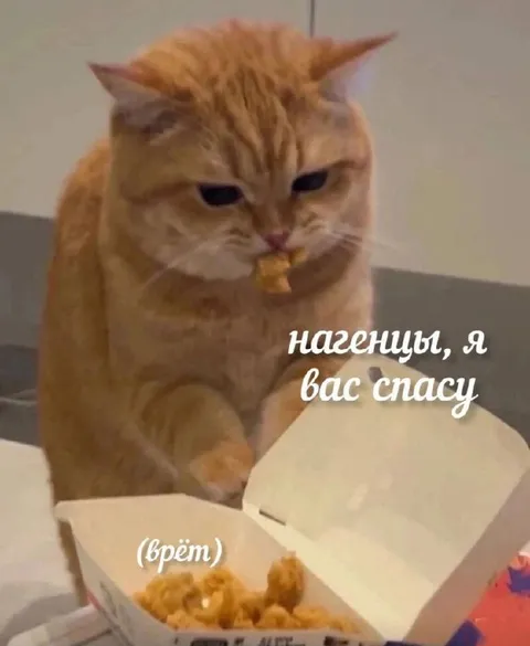 Кот спасает нагетцы