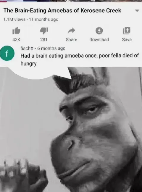 Brain-Eating Amoeba Comment