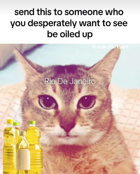 Rio De Janeiro Oiled Up Cat