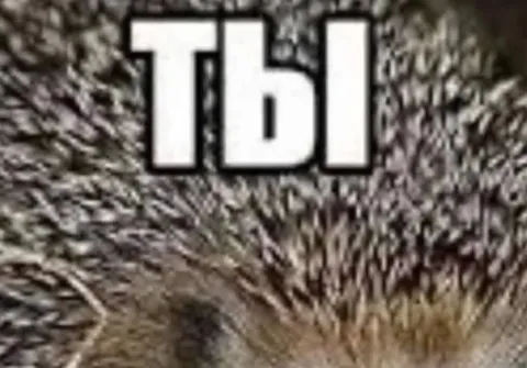 Ты предал Кубань