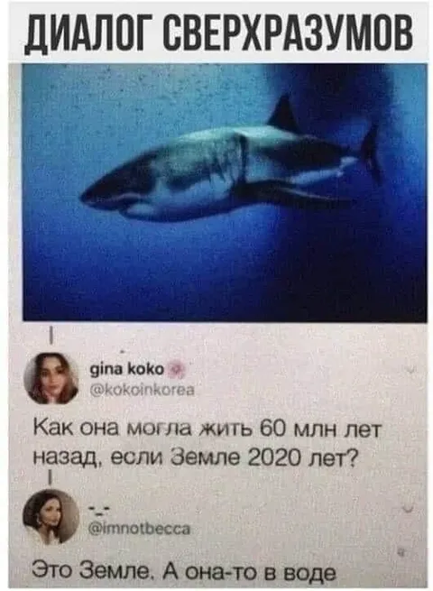 Диалог сверхразумов про акулу