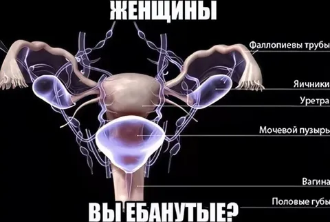 Женщины, вы ебанутые?