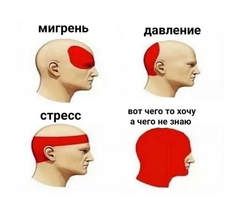 Когда болит вся голова