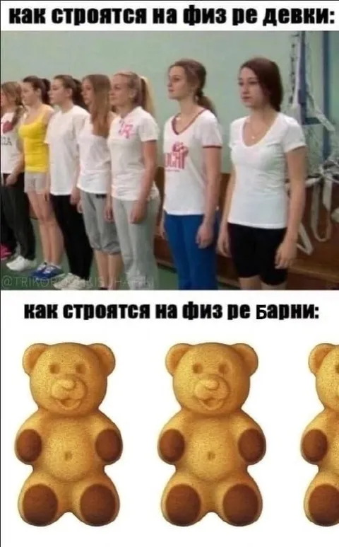 Как строятся на физре девки и Барни