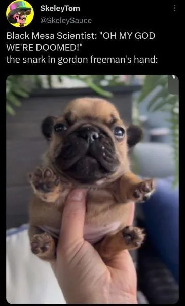 Snark in Gordon Freeman's Hand