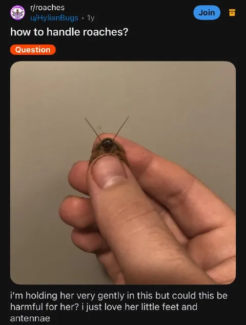 Holding a Cockroach Gently