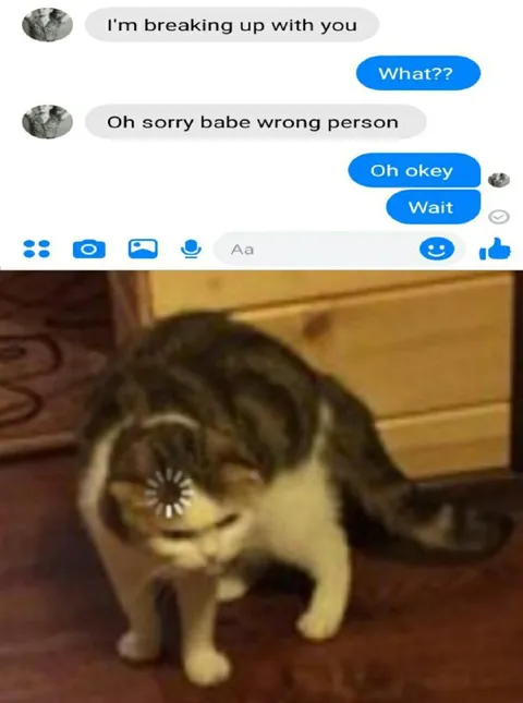 Wrong Person Breakup Text