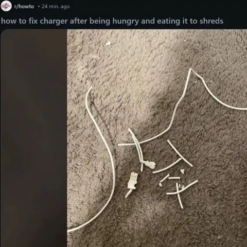 How to Fix a Charger After Eating It