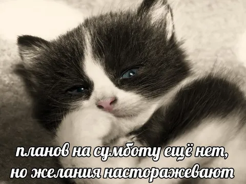 Желания на субботу